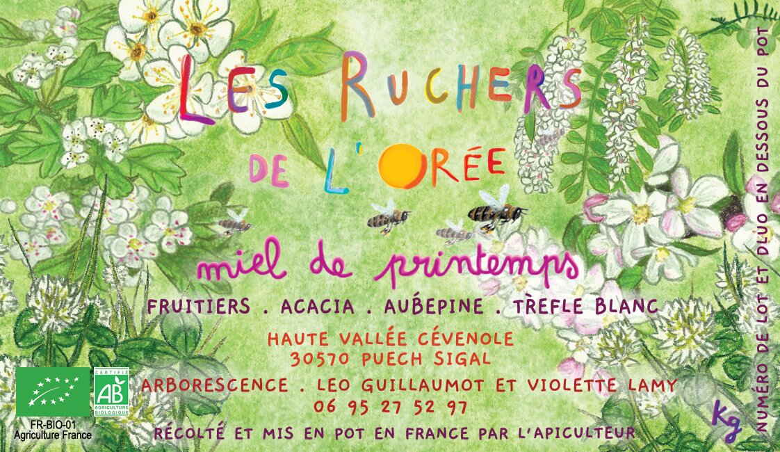 Pot de miel de printemps