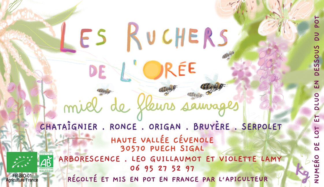 Pot de miel de fleurs sauvages