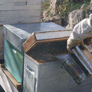 [photo1]consectetur adipiscing elit, sed do eiusmod tempor incididunt ut labore