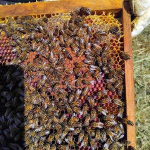 [photo10]consectetur adipiscing elit, sed do eiusmod tempor incididunt ut labore