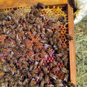 [photo11]consectetur adipiscing elit, sed do eiusmod tempor incididunt ut labore