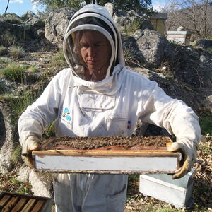 [photo2]consectetur adipiscing elit, sed do eiusmod tempor incididunt ut labore