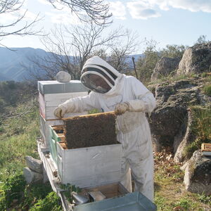 [photo3]consectetur adipiscing elit, sed do eiusmod tempor incididunt ut labore