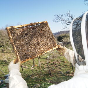 [photo4]consectetur adipiscing elit, sed do eiusmod tempor incididunt ut labore