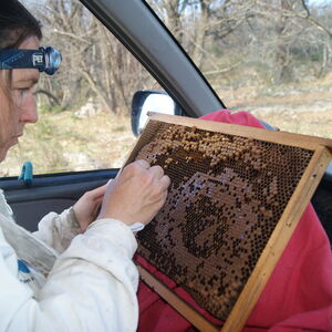 [photo6]consectetur adipiscing elit, sed do eiusmod tempor incididunt ut labore