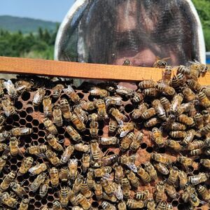 [photo7]consectetur adipiscing elit, sed do eiusmod tempor incididunt ut labore