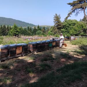 [photo8]consectetur adipiscing elit, sed do eiusmod tempor incididunt ut labore