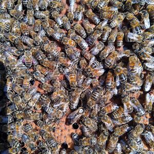 [photo9]consectetur adipiscing elit, sed do eiusmod tempor incididunt ut labore